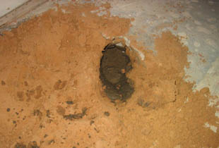 Home Foundation Repair in Houston, Texas.