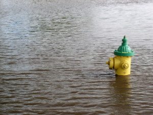 Flood Plain