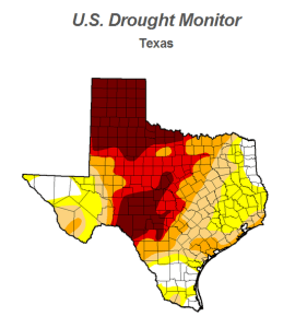 Severe Droughts will cause significant foundation damage to homes in Texas
